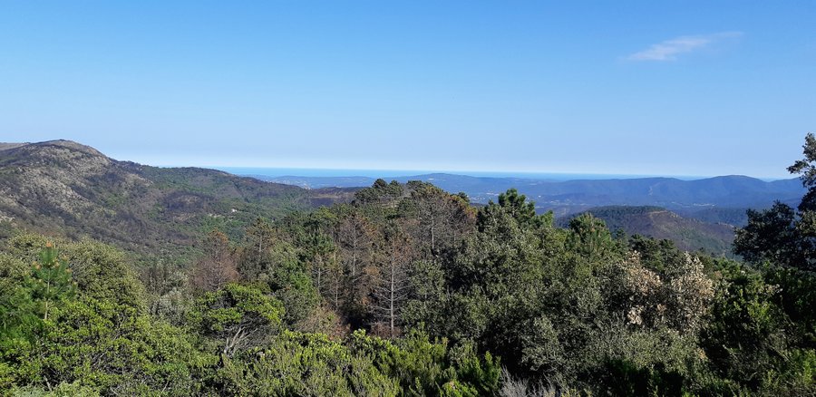 Hébergement AbracadaRoom : La Roulotte Verte - Image 21