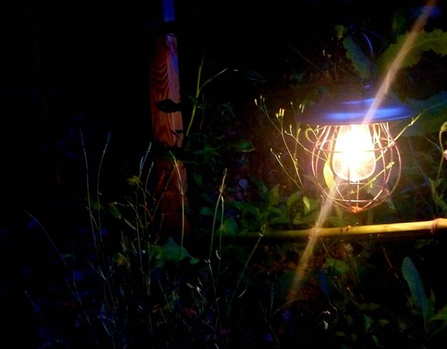 Hébergement AbracadaRoom : Cybèle, bulle perchée de la vallée - Image 33