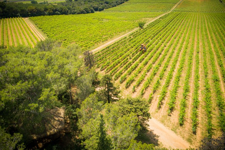 Domaine AbracadaRoom : Domaine St-Jean de l'Arbousier - Image 6