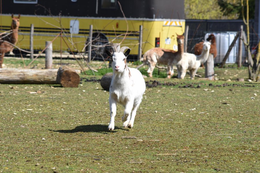 Domaine AbracadaRoom : Les Lodges des Grands Crus - Image 8