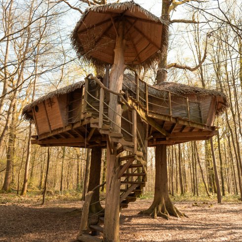 Hébergement AbracadaRoom : Robin des bois - Image 2