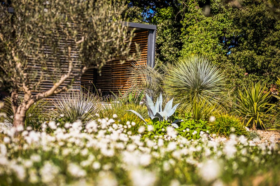 Domaine AbracadaRoom : L'ASPHODELE LA CABANE CHIC - Image 2