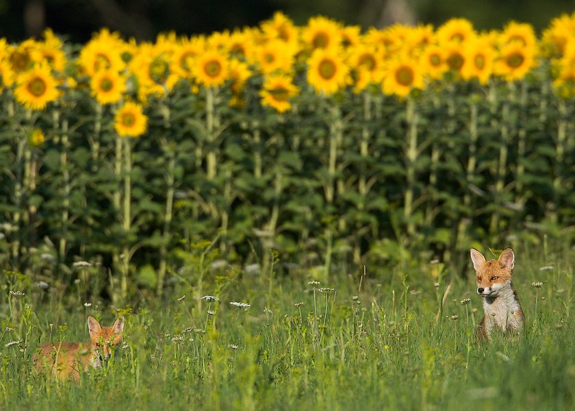 Domaine AbracadaRoom : Au Milieu de Nulle Part - Image 10
