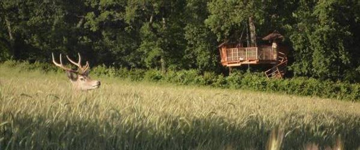 Hébergement AbracadaRoom : Cabane Asiatique - Image 6