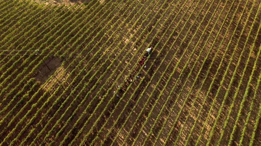 Domaine AbracadaRoom : Domaine Les Grandes Marges - Image 7