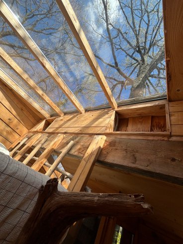 Hébergement AbracadaRoom : Cabane Coquille - Dormir sous les étoiles - Image 29