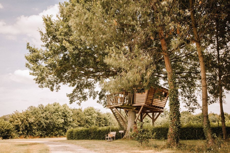 Cabane Hulotte — photo 2