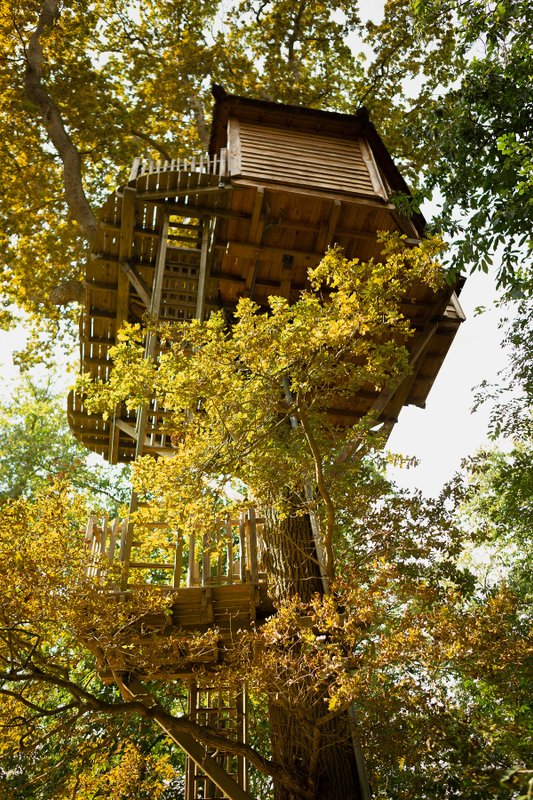 Cabanes Duo dans les Arbres à Raray (11)