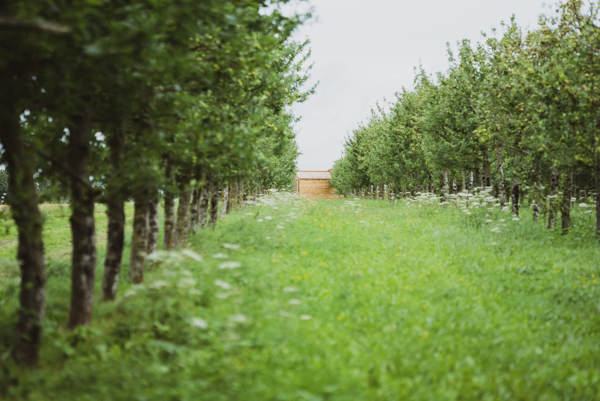 Sacrée Cabane & Spa à Sargé-Les-Le-Mans (8)
