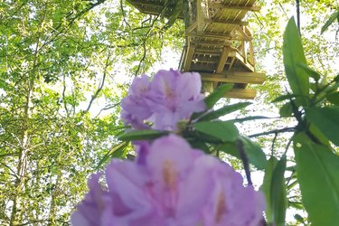La cabane Haut-Perchée & Spa à Wail (3)