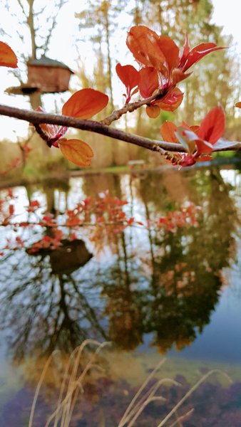 Domaine AbracadaRoom : Le domaine de Wail - Image 11