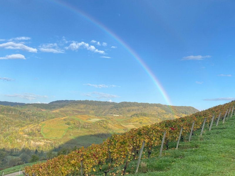 Domaine AbracadaRoom : Homnest (Boyeux) - Image 27