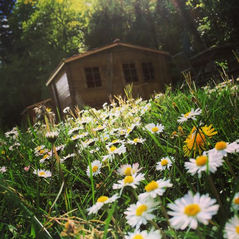 Hébergement AbracadaRoom : Chalet Pêcheur - Image 1