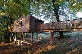 Cabane Spa dans les arbres PMR