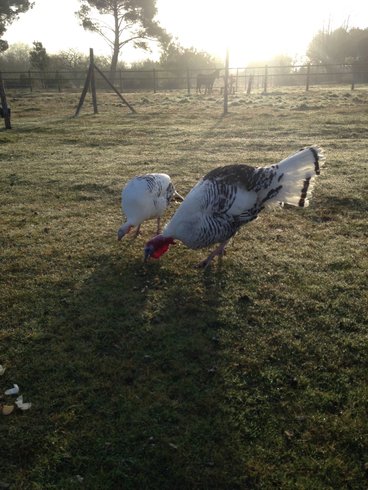 Domaine AbracadaRoom : Parenthèse Nuit - Image 6