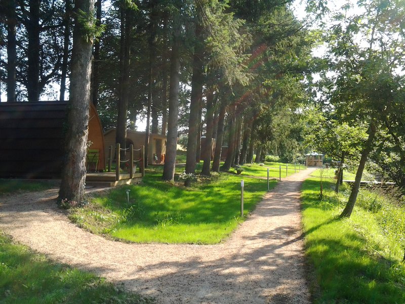 Hébergement AbracadaRoom : Cabane "Forestière" - Image 4