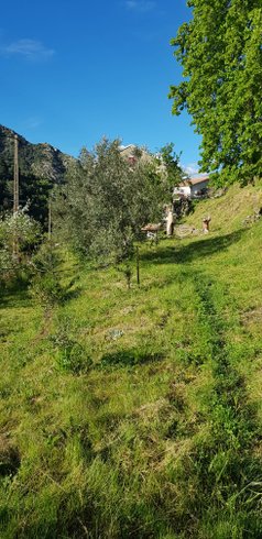 Hébergement AbracadaRoom : A stella - Image 6