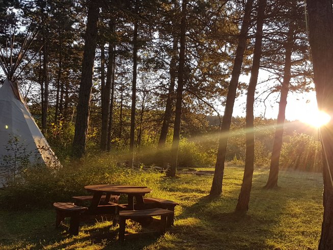 Domaine AbracadaRoom : KAYANE "balades à dos d'âne & nuitées atypiques" - Image 5