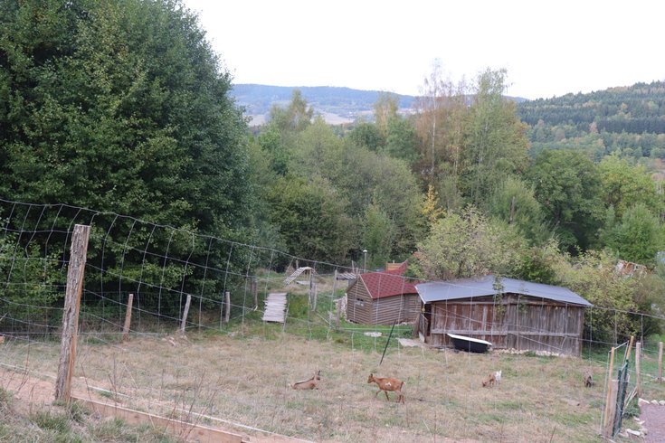 Hébergement AbracadaRoom : Kota en lisière de forêt - Image 2