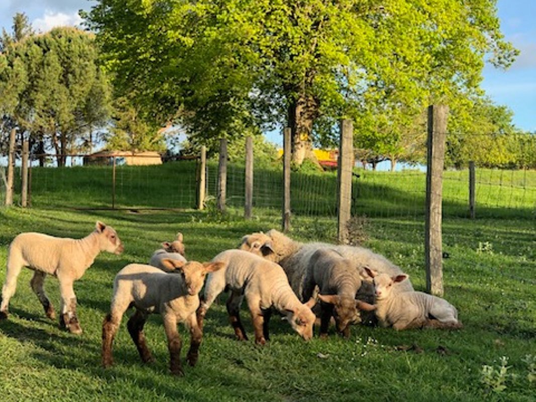 Cabane Spa du Bout du Pré à Descartes (10)