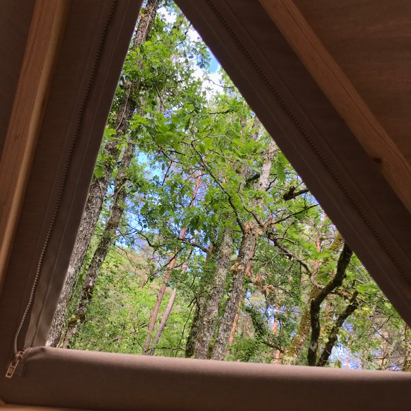 Hébergement AbracadaRoom : Le Sweet' dôme - Image 11