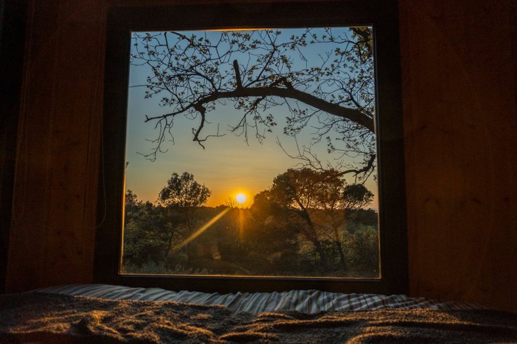 Hébergement AbracadaRoom : La Forêt Enchantée - Refuge au coeur du Vaucluse - Image 21