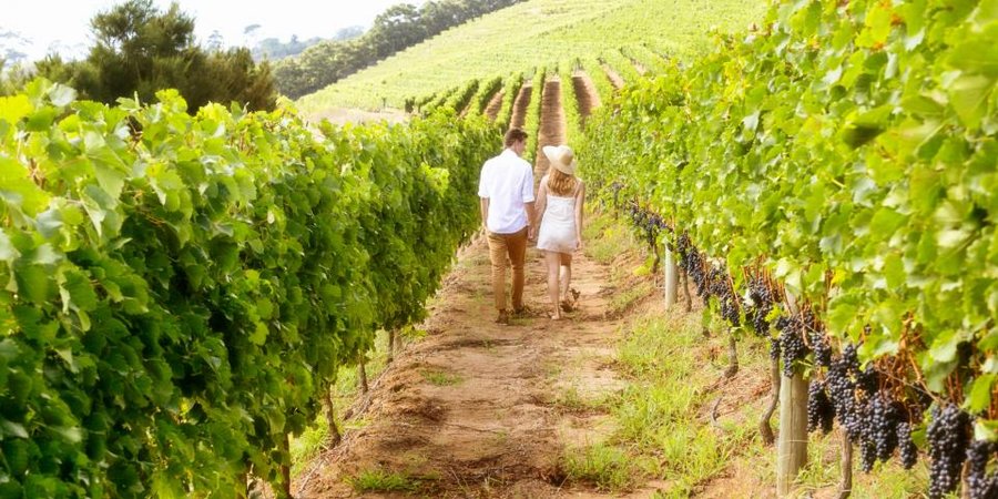 Domaine AbracadaRoom : Tonneau Insolite en Provence - Image 19