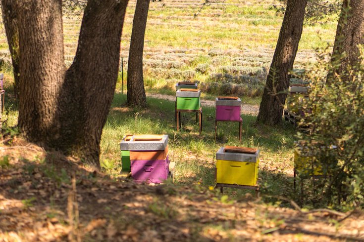 Hébergement AbracadaRoom : La Forêt Enchantée - Refuge au coeur du Vaucluse - Image 12