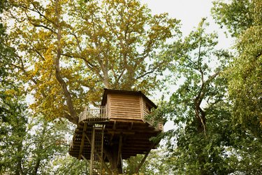 Cabane Imprenable à Raray (4)