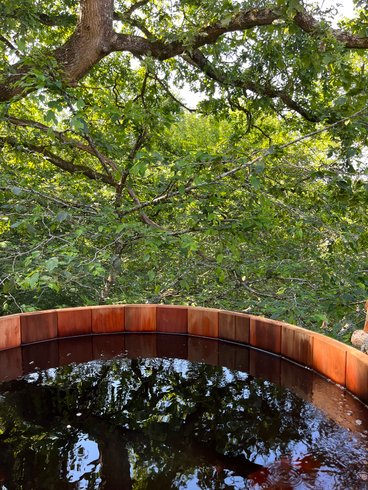 Hébergement AbracadaRoom : Cabane Spa Belle Forêt - Image 9