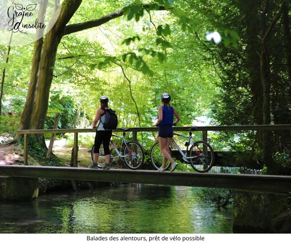 Hébergement AbracadaRoom : La Tiny Graine d'insolite - Image 20