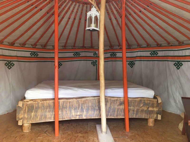 Hébergement AbracadaRoom : Yourte Altaï Séjour authentique auprès de huskies - Image 9