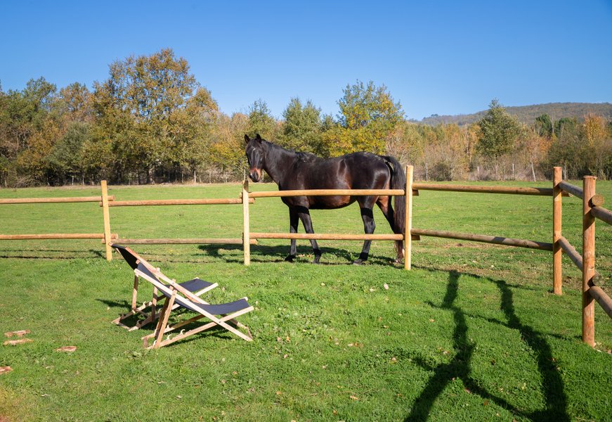 Domaine AbracadaRoom : Homnest (Puybegon) - Image 3