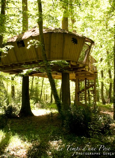 Cabane des Chimpanzés à Magné