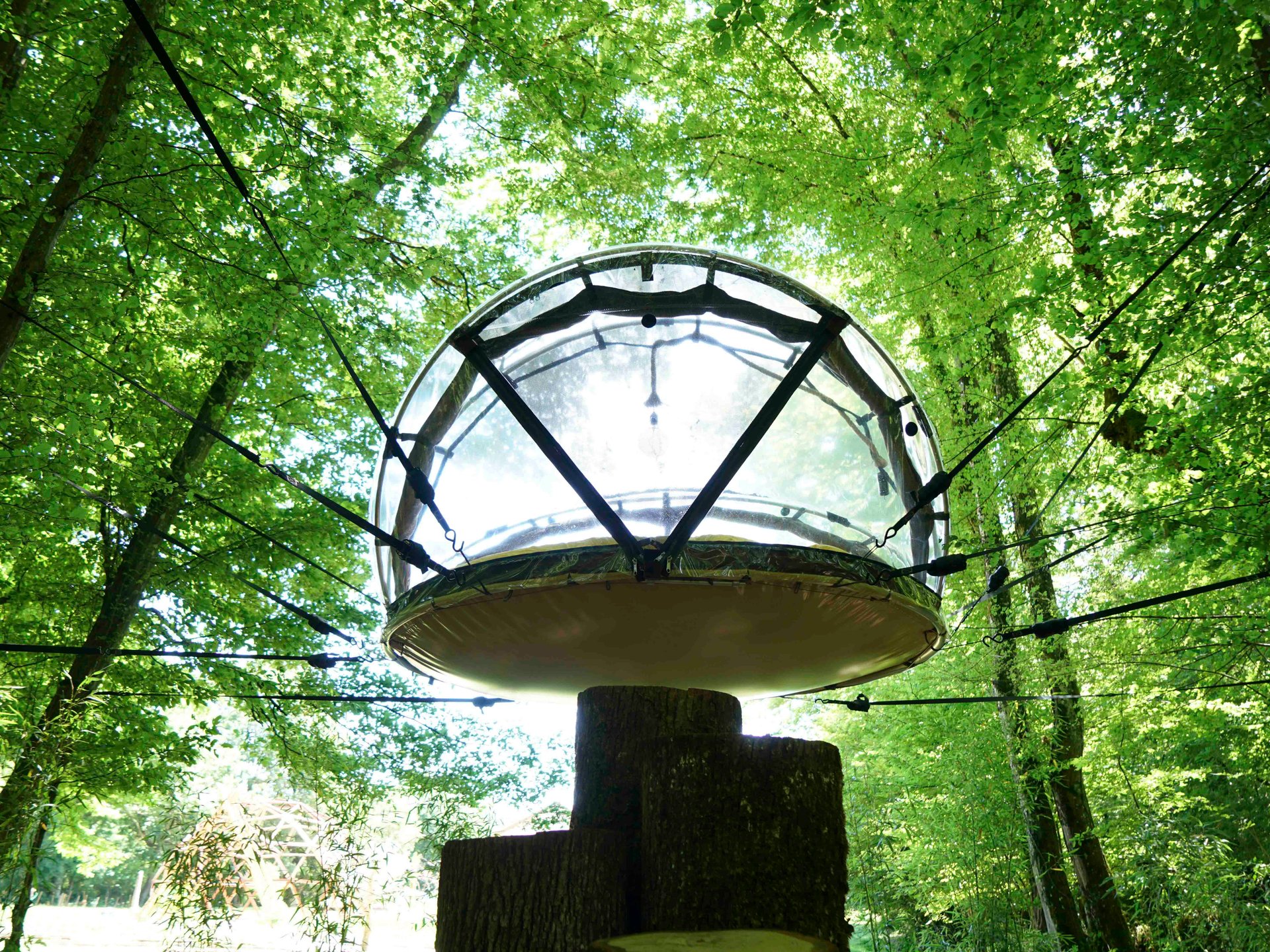 Bulle suspendue - Royaume des gourmets