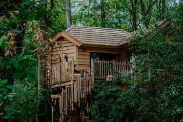 La Cabane le Ciel & Spa à Martillac (1)