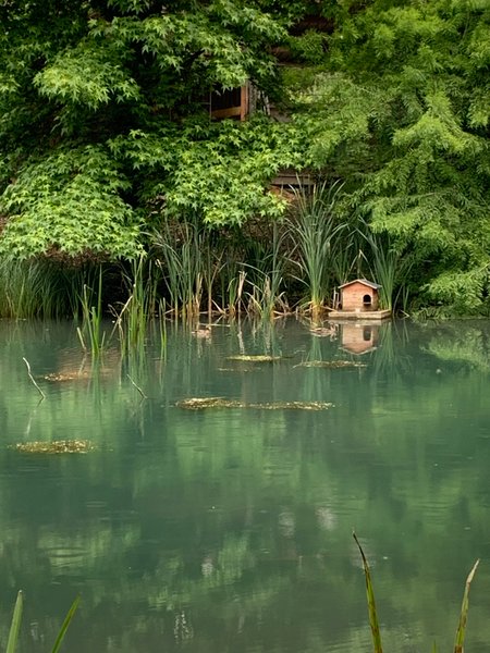 Domaine AbracadaRoom : Domaine de Faye - Image 2