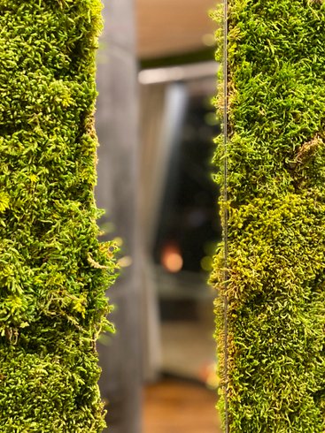 Hébergement AbracadaRoom : Cabane Feuille & Spa - Image 10