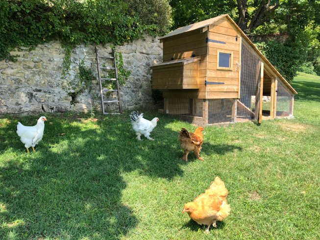 Domaine AbracadaRoom : Mas des Poutres - Image 8