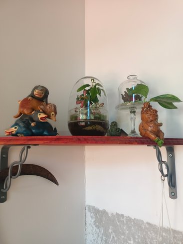 Hébergement AbracadaRoom : La Suite des Ondines - Image 12