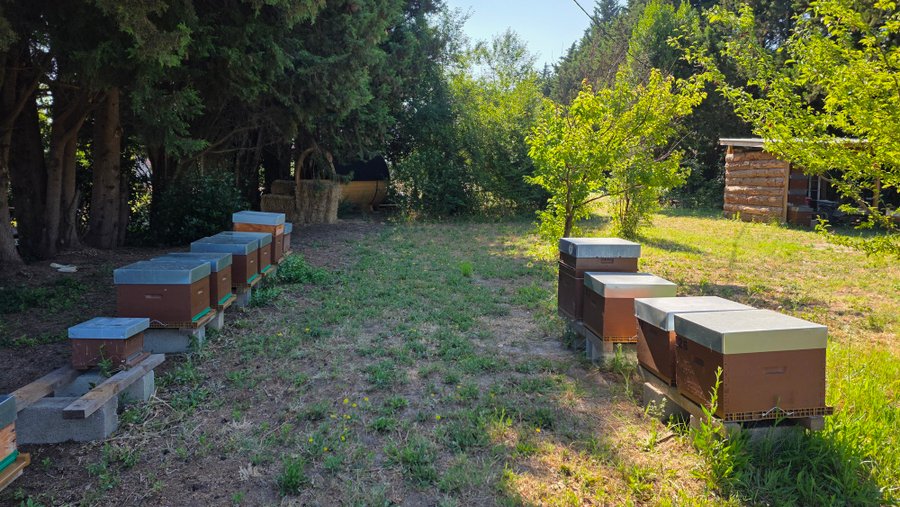 Hébergement AbracadaRoom : La Ruche - Image 21