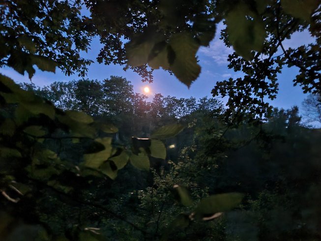 Domaine AbracadaRoom : Domaine du Moulin de Trimeule - Image 13