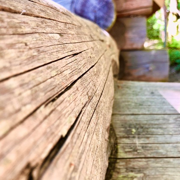 Hébergement AbracadaRoom : Chalet en rondins - Image 10