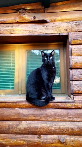 Domaine AbracadaRoom : Les Ecuries du Soleil - Image 4