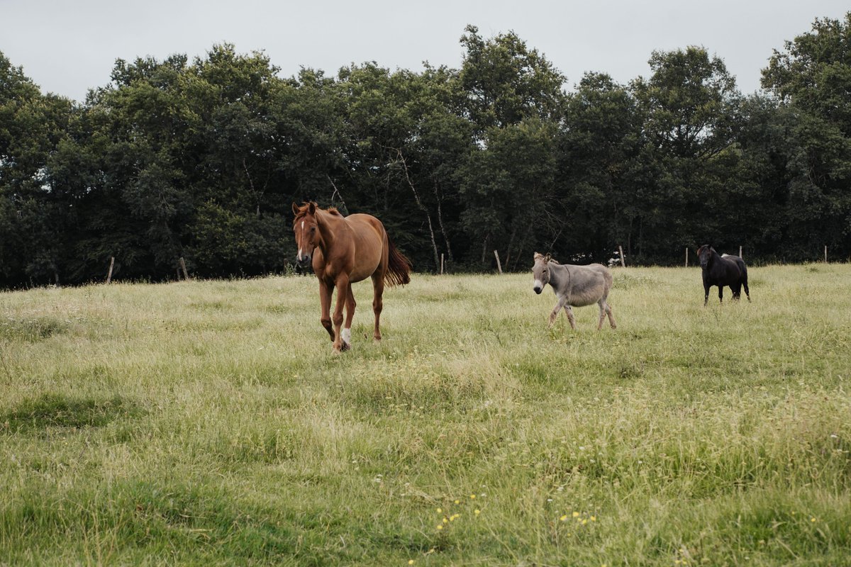 Glamping : nos dômes & son lac privé à Sadirac (31)