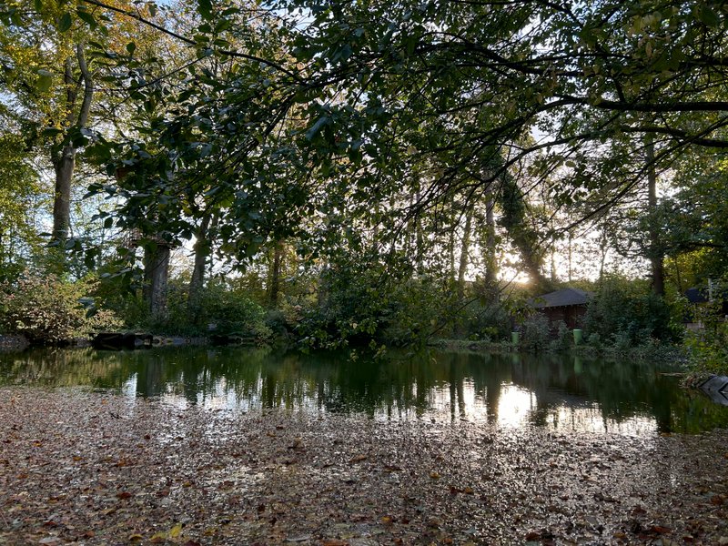 Domaine AbracadaRoom : Le domaine de Wail - Image 6