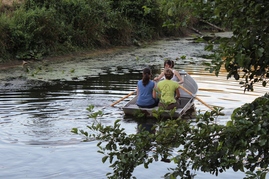 Hébergement AbracadaRoom : Maison d'architecte seventies - Image 15