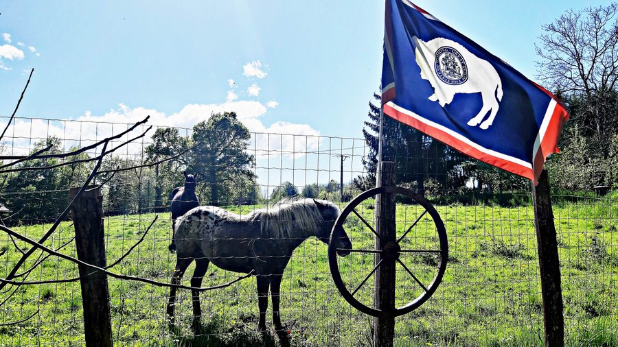 Hébergement AbracadaRoom : Wyoming Lodge*** - Luxe & SPA -  Vue lac - Image 6