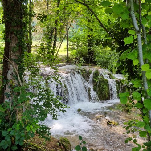 Domaine AbracadaRoom : Domaine du Moulin de Trimeule - Image 6