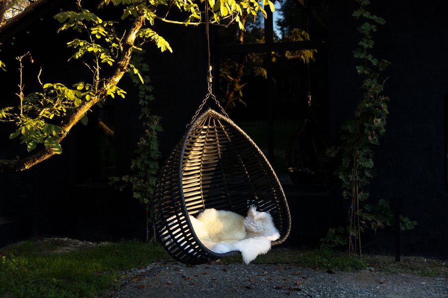 Domaine AbracadaRoom : Lost in Sensations - Image 14